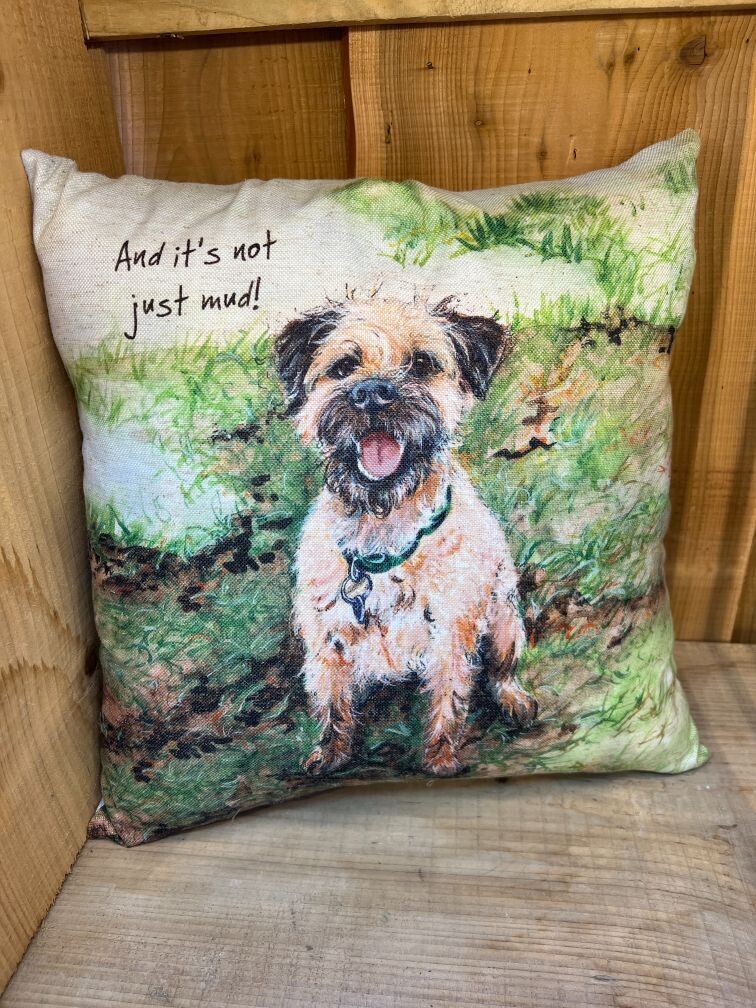 Not Mud – Cushion