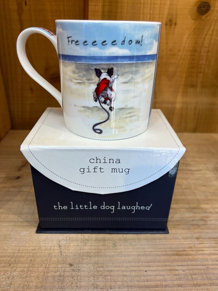Freedom – China Mug