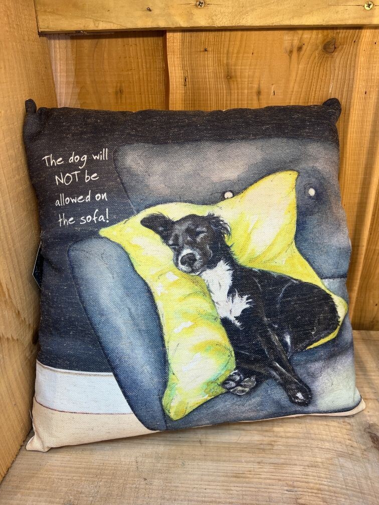 Not Sofa – Cushion