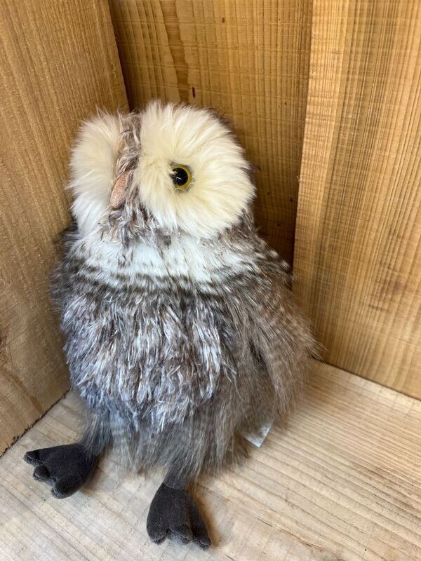 'Elvis' Owl Character