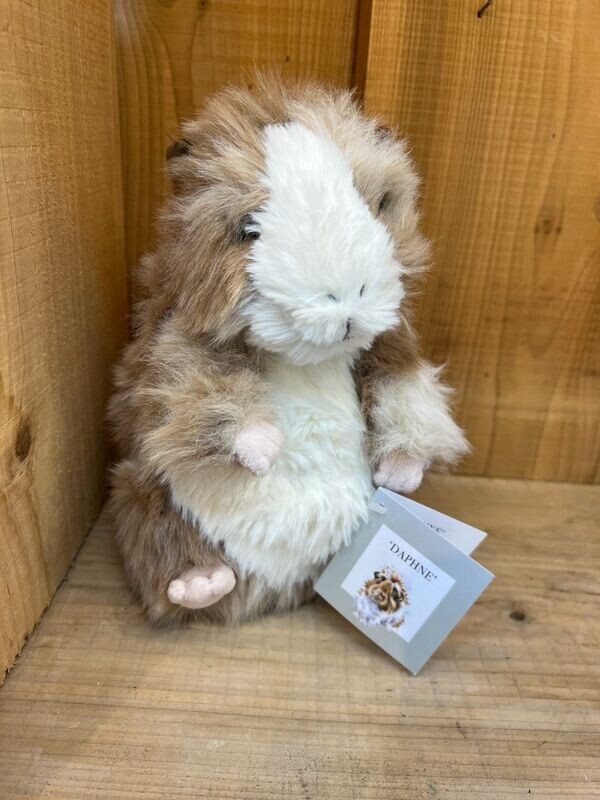 'Daphne' Guinea Pig Character