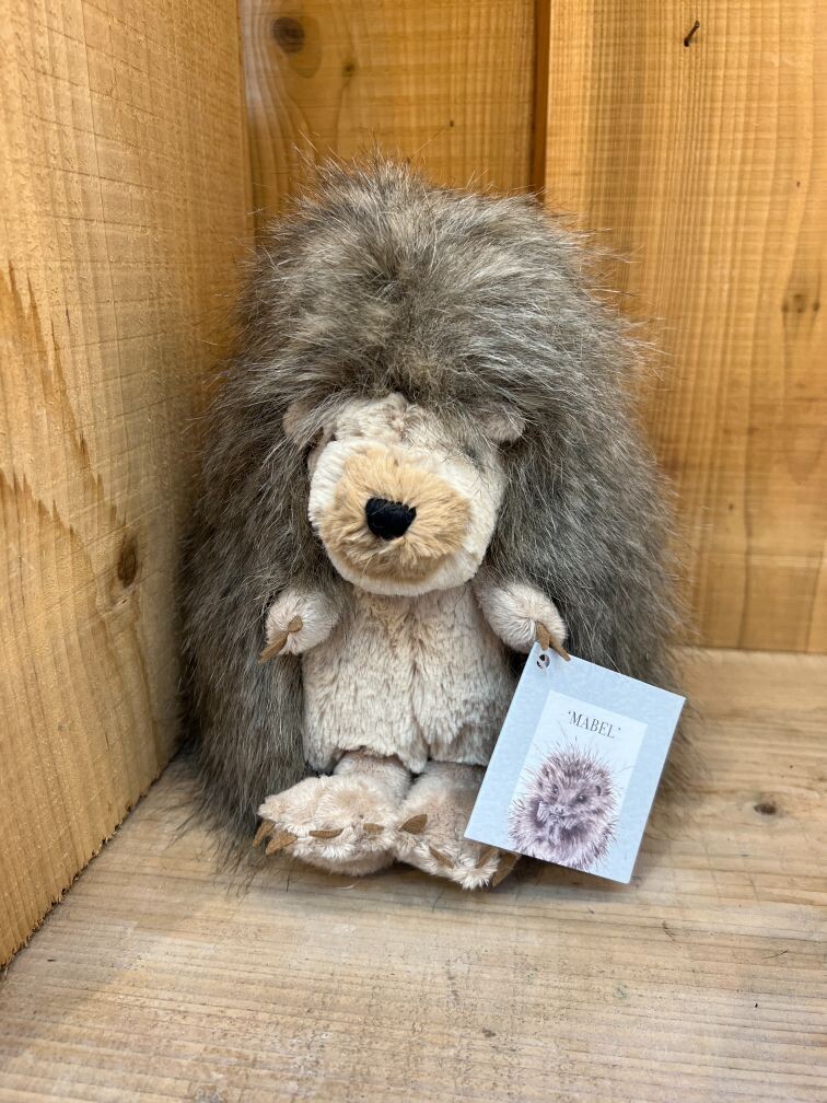 'Mabel' Hedgehog Character