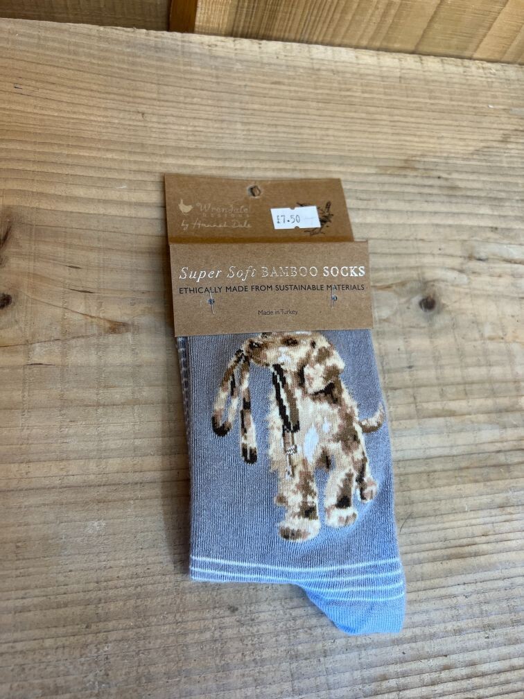 'Hopeful' Labrador Socks