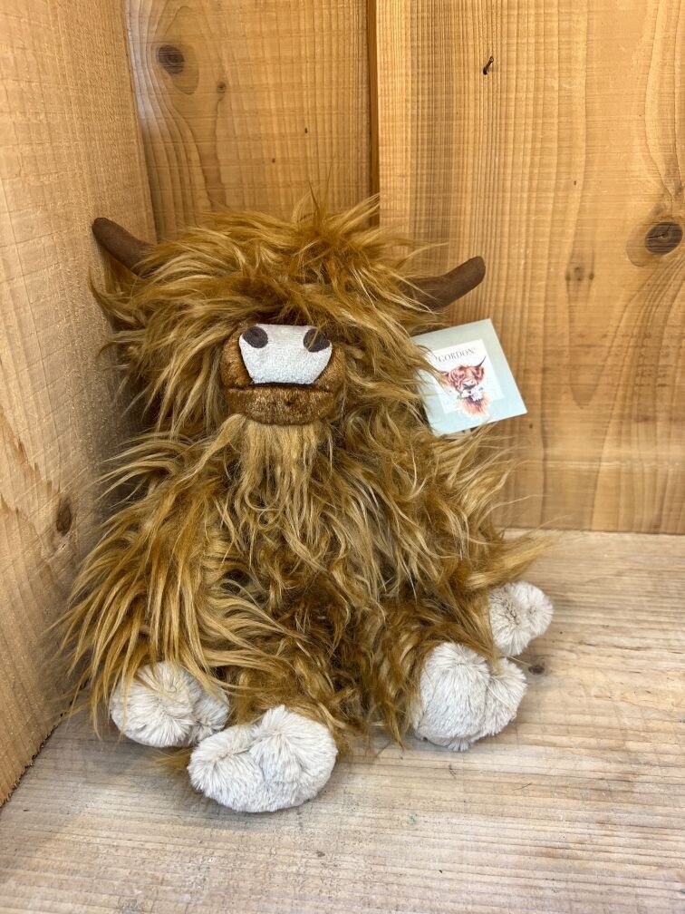 'Gordon' Highland Cow Character