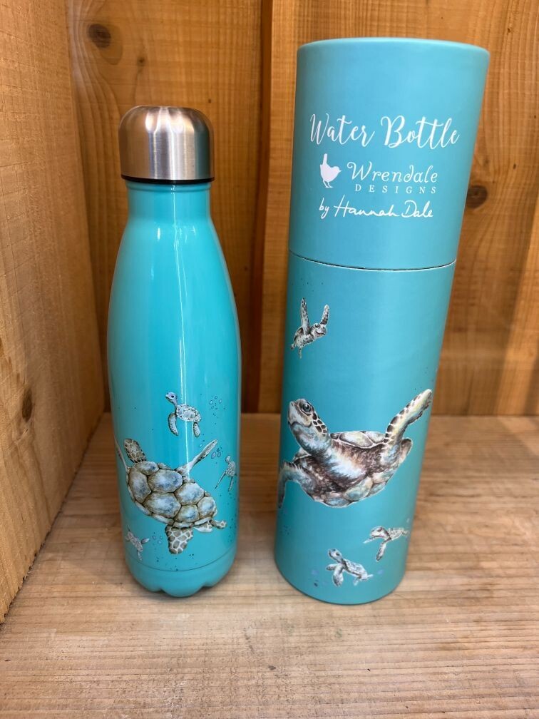 'Swimming School' Turtle Water Bottle