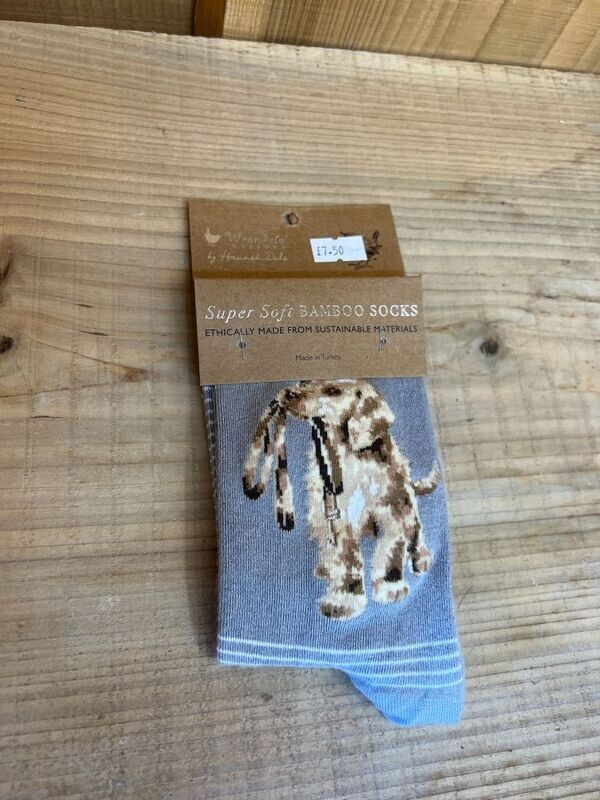 'Hopeful' Labrador Socks