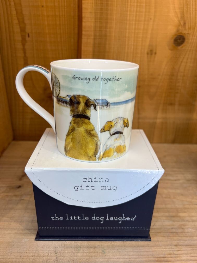 “Growing Old Together” – China Mug