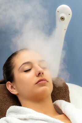 Face steamers