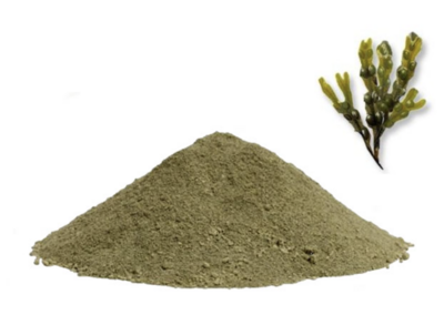 BLUE FARM | kalindra.it. Alga Fucus Vesiculosus Extract. 100% natural. External use