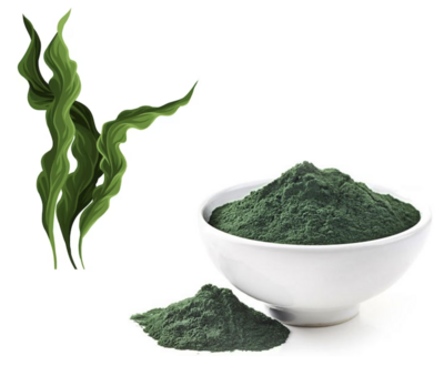 BLUE FARM | kalindra.it. Alga Spirulina Platensis. 100% natural in powder for external use