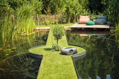 In the garden