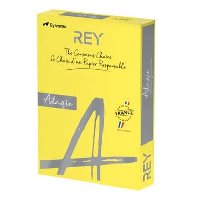 Carta colorata A4 Sylvamo Rey Adagio 160 g/m giallo intenso 66 - Risma da 250 fogli - ADAGI160X479