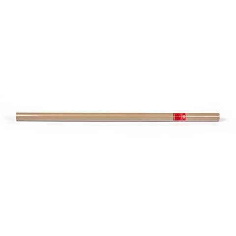 Rotolo carta da regalo Rex-Sadoch Kraft 100x500 cm -80 g/m - avana CKRA5-AVN