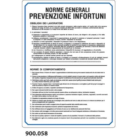 Cartello normativo &#39;&#39;Norme generali prevenzione infortuni&#39;&#39; Dixon Industries 33x47 cm - 900.058