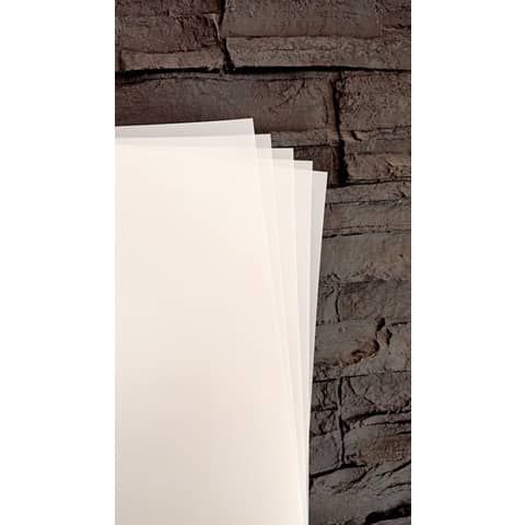 Fogli per stampe in backlit poliestere alta qualit per stampanti laser - Conf. 100 ff Tecnostyl formato A3 - EPPA3-100