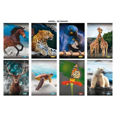 Maxi quaderni Blasetti Animali formato A4  carta 80 g conf. 10 pezzi rigatura Q - 8583
