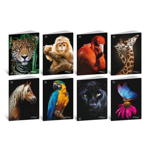 Maxi quaderni Blasetti Animali formato A4  carta 100 g conf. 10 pezzi rigatura A - 8626