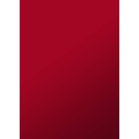 Copertine per la rilegatura Sei Rota Video ROC formato A4 colore rosso conf. 100 pezzi - 52142812