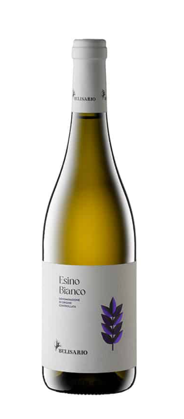 KALINDRA | Belisario. Le impronte. Esino Bianco DOC DOC wine 75 cl