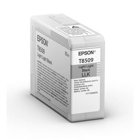 Cartuccia inkjet Epson nero chiaro  C13T850900