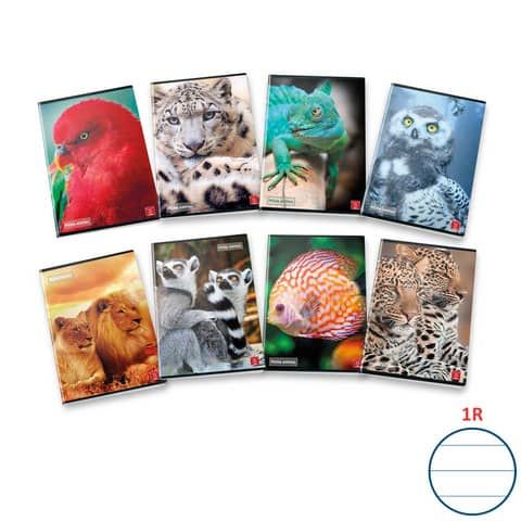 Quaderno 42 fogli PIGNA Animal A4 a righe 1R assortiti 02330131R