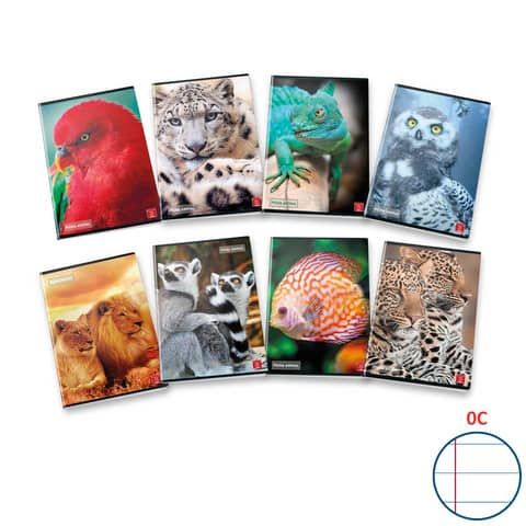 Quaderno 42 fogli PIGNA Animal A4 a righe 0C con margine assortiti 02330130C