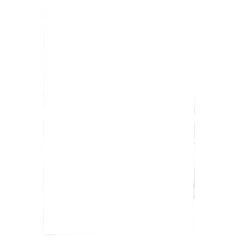 Pouches per plastificatrici Fellowes Standard Capture125 finitura lucida - 2x125 m - A2 - Conf. 50 pz - 5309302