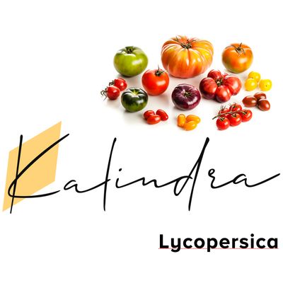 Tomatoes