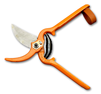 KALINDRA | DBA. Forged vineyard shears in orange steel. DB 125 Line