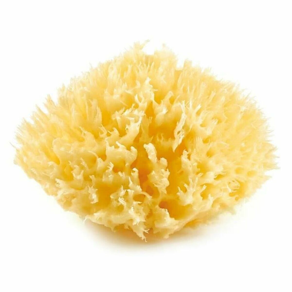 KALINDRA | BB. Body Sponge ThermoBaby Yellow