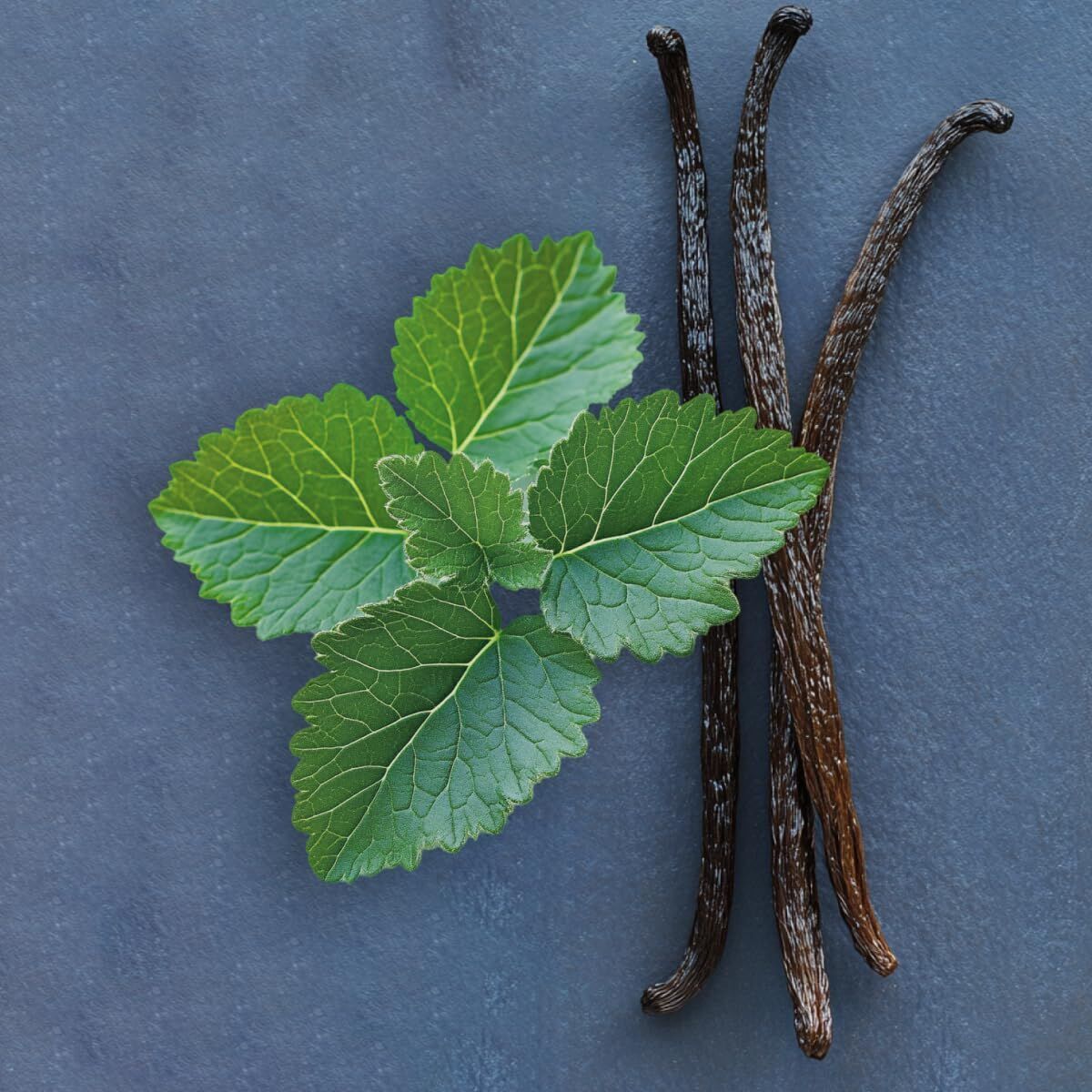 KALINDRA | BB. Women&#39;s Perfume Elie Saab LE PARFUM Le Parfum Royal EDP 50 ml