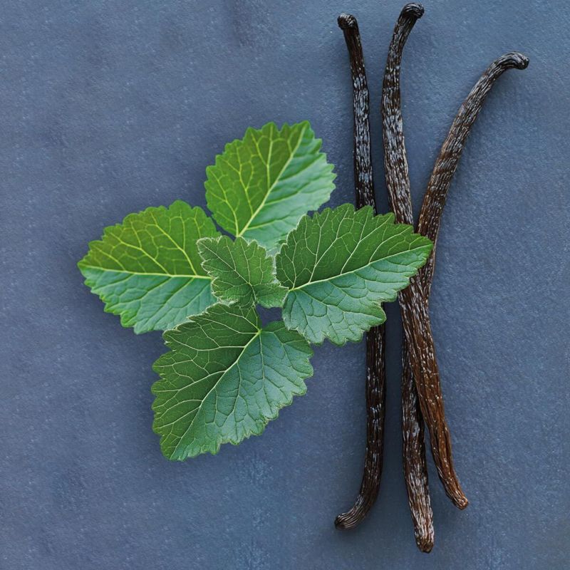 KALINDRA | BB. Women's Perfume Elie Saab LE PARFUM Le Parfum Royal EDP 50 ml KALINDRA | BB. Women's Perfume Elie Saab LE PARFUM Le Parfum Royal EDP 50 ml