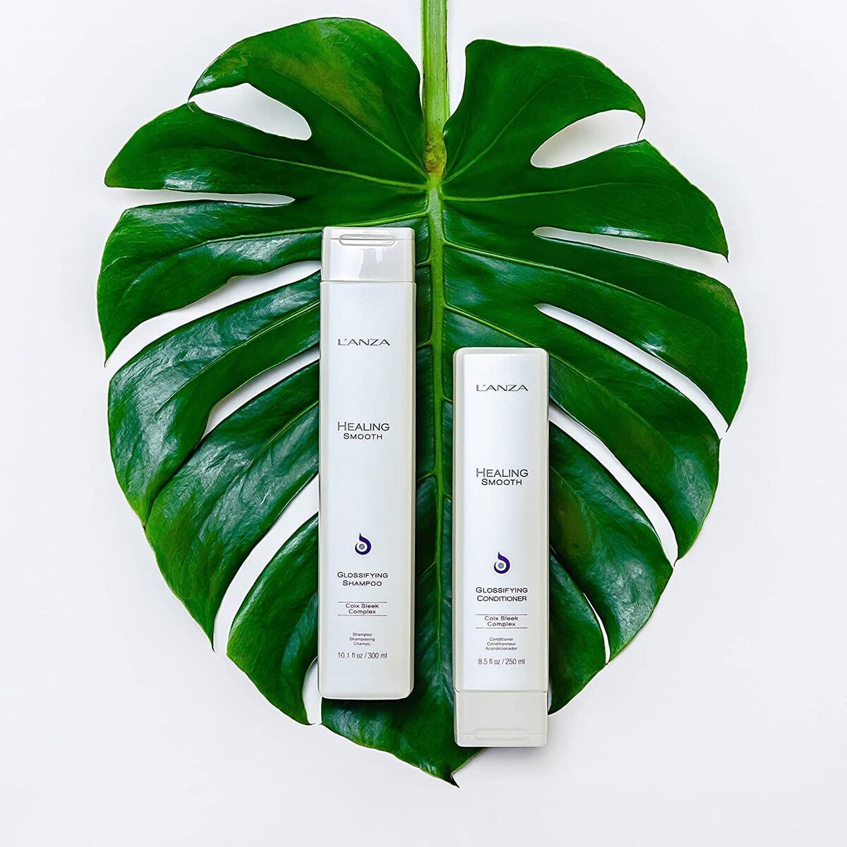 KALINDRA | BB. Moisturizing Shampoo L'ANZA Healing Moisture 300 ml Dry hair