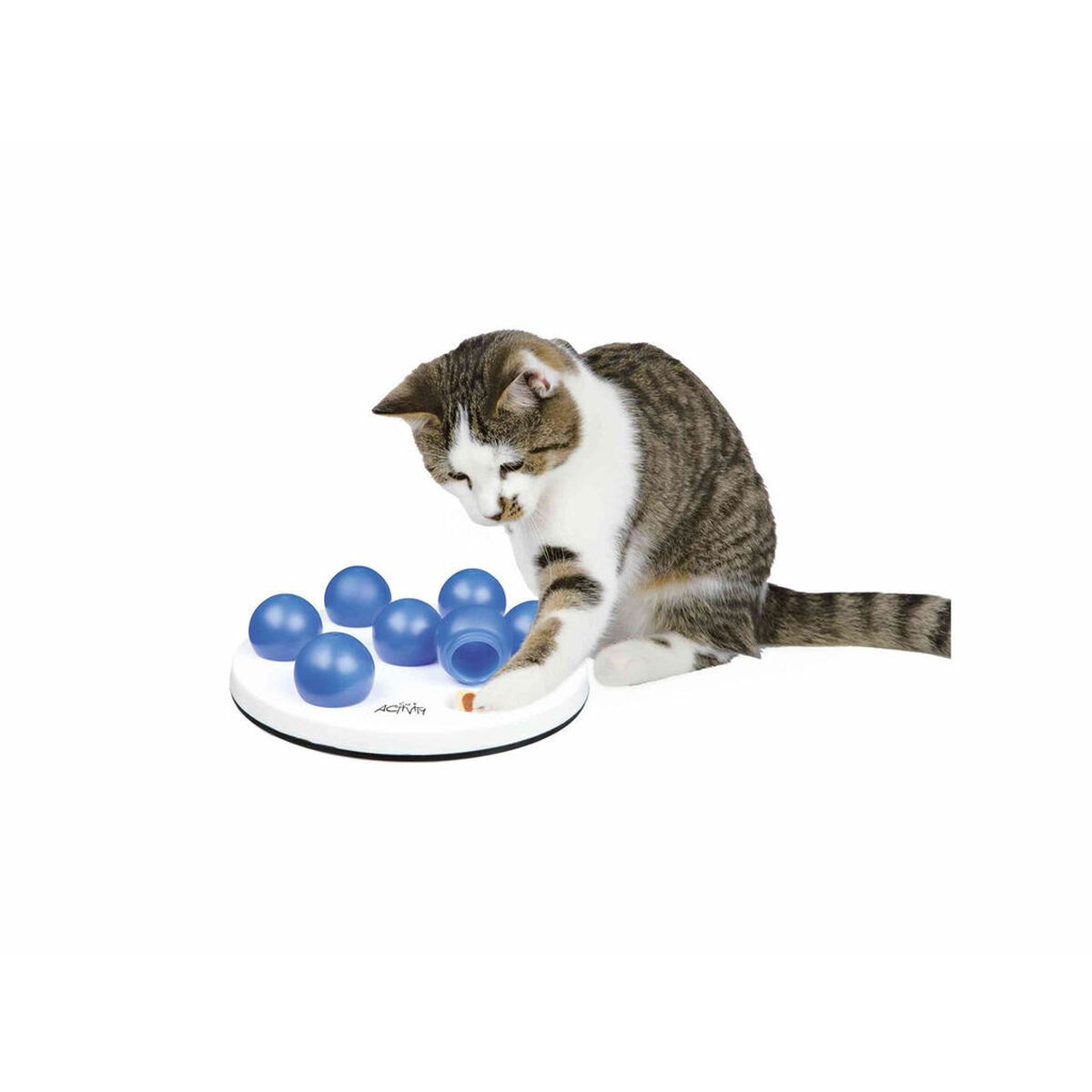 KALINDRA | BB. Games Mat and Rewards for Pets Trixie