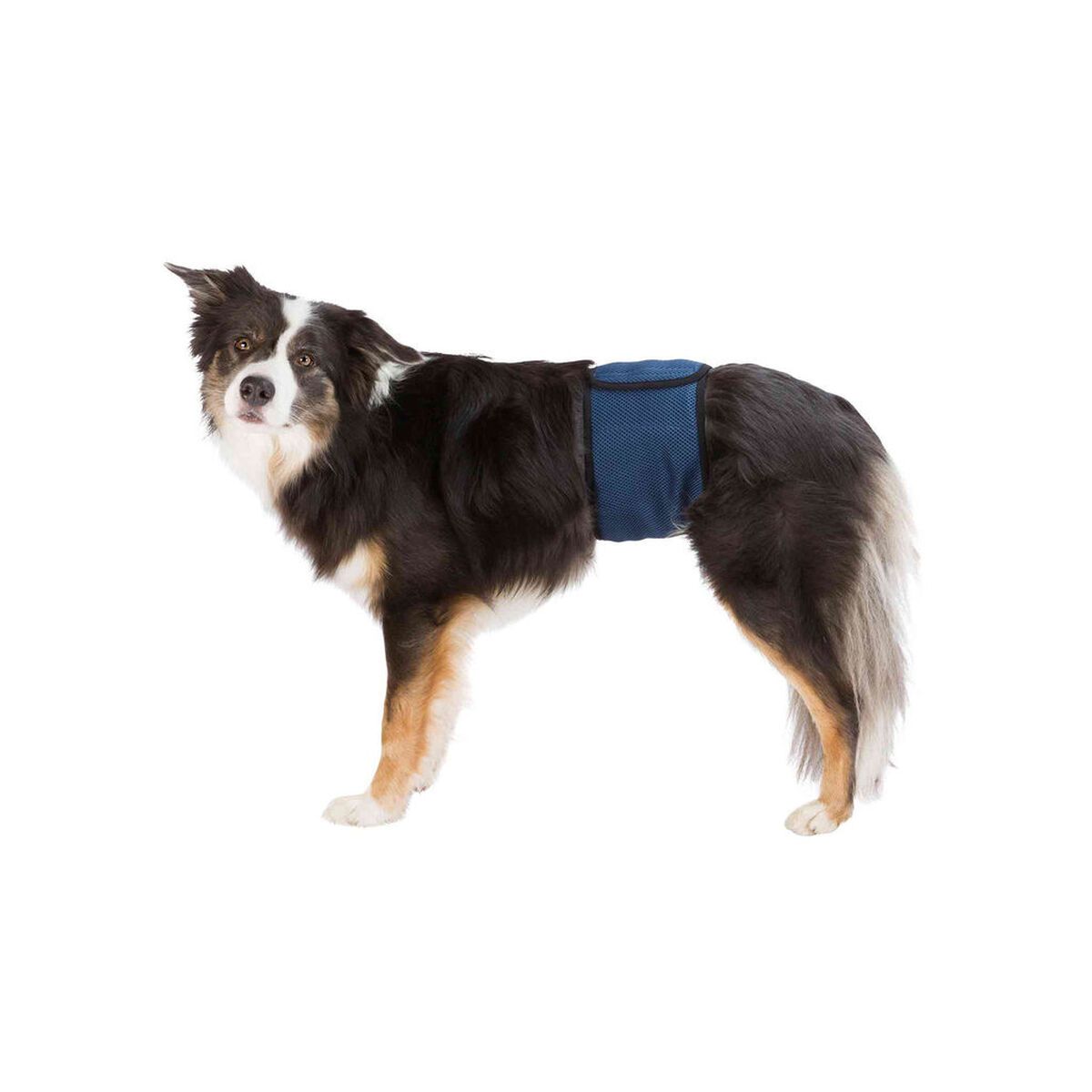 KALINDRA | BB. Incontinence Protector Trixie 45-55 cm Male Plug Abdomen