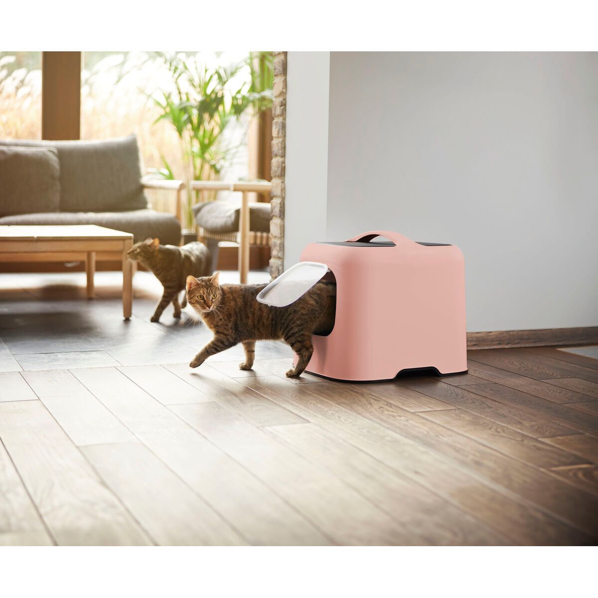 KALINDRA | BB. Cat Litter Box Rotho My Pet Pink