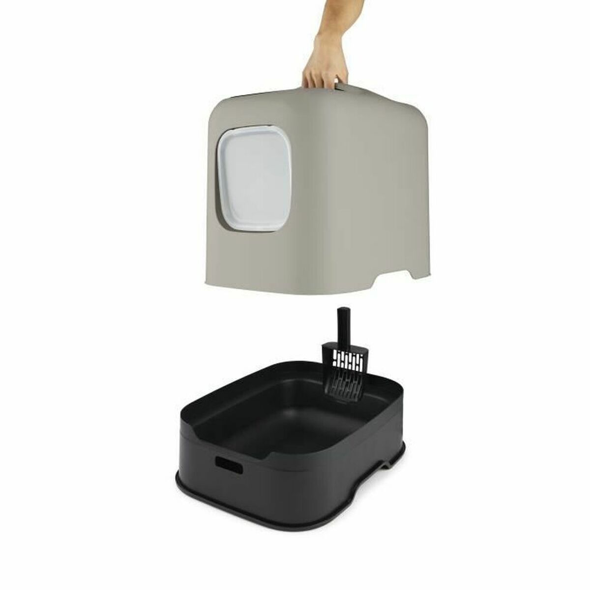 KALINDRA | BB. Cat Litter Box Rotho My Pet CAPUCCINO Plastic