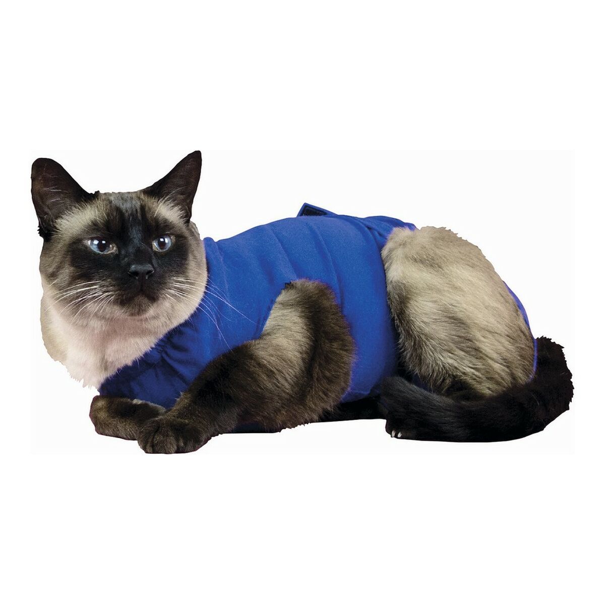 KALINDRA | BB. Recovery Vest for Pets KVP 74-86 cm Blue