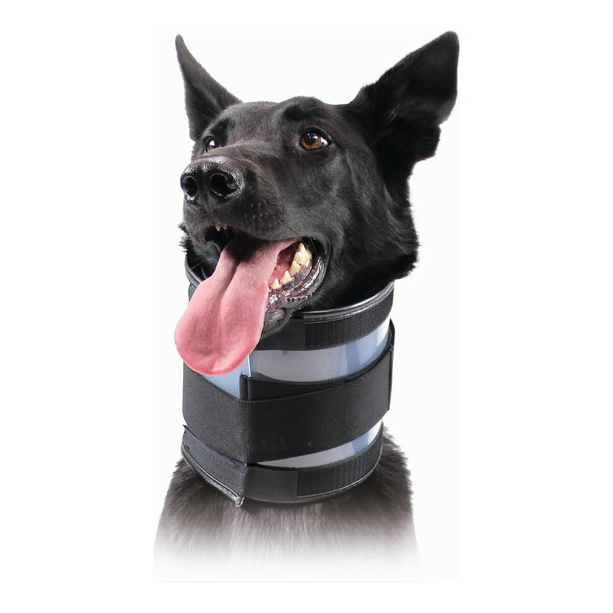 KALINDRA | BB. Cervical Collar for Dogs KVP Black (13-48 cm)