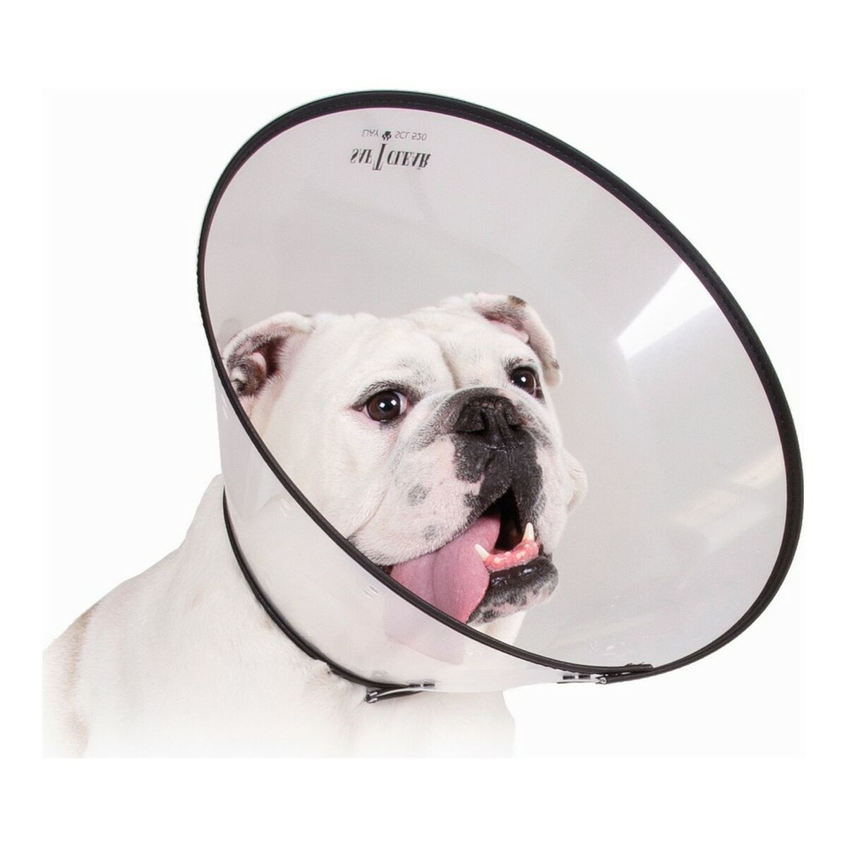 KALINDRA | BB. Elizabethan Dog Collar KVP Saf-T-Clear Transparent (30-76 cm)