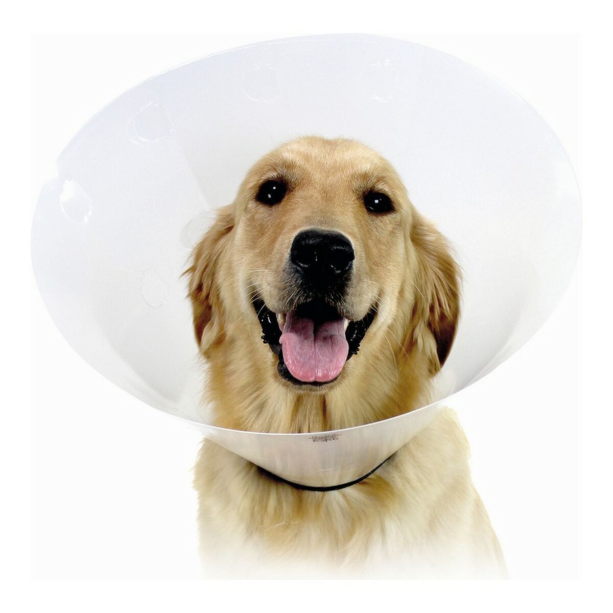 KALINDRA | BB. Elizabethan Dog Collar KVP Check Transparent (43-57 cm)
