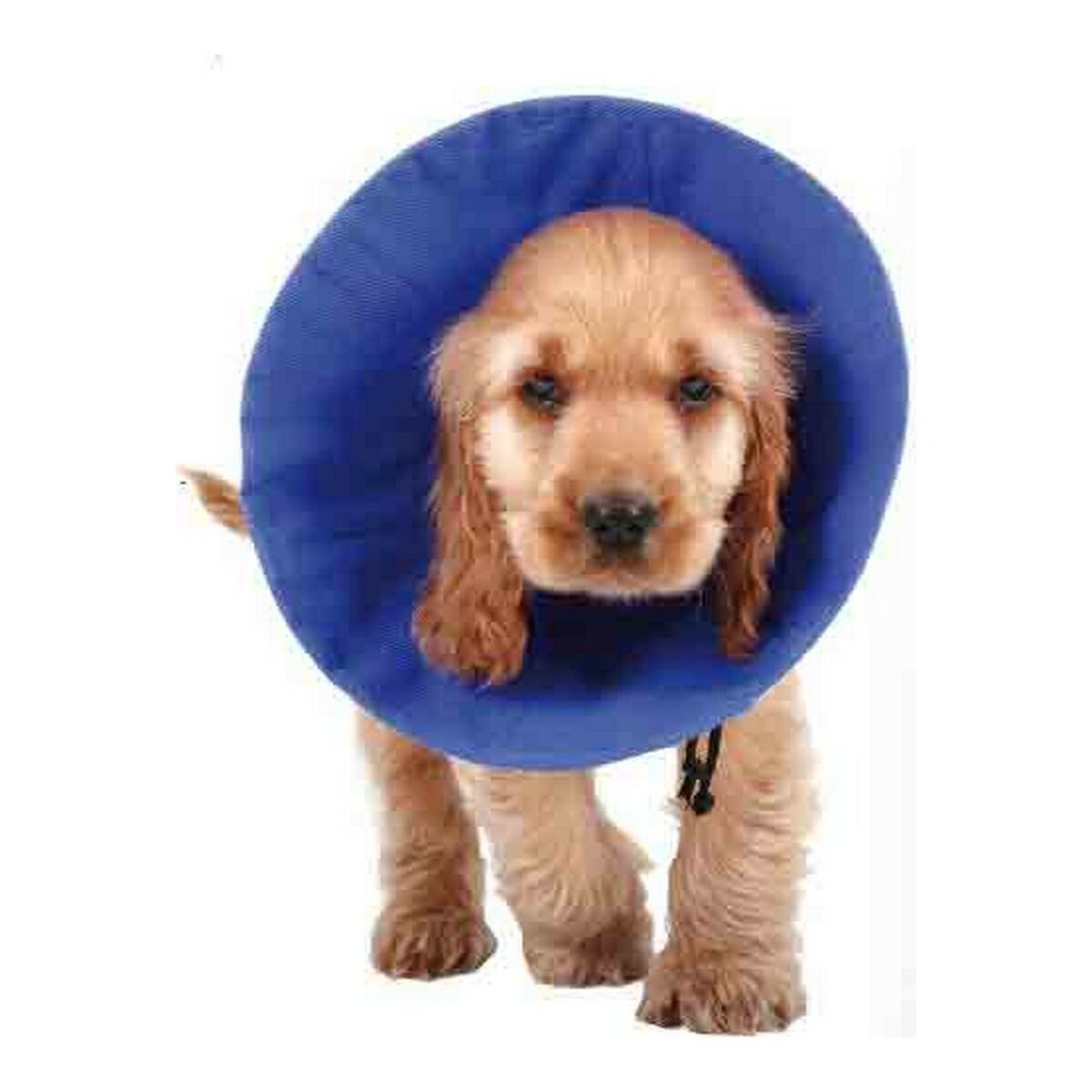 KALINDRA | BB. Elizabethan Dog Collar KVP EZ Soft Blue (35-60 cm)