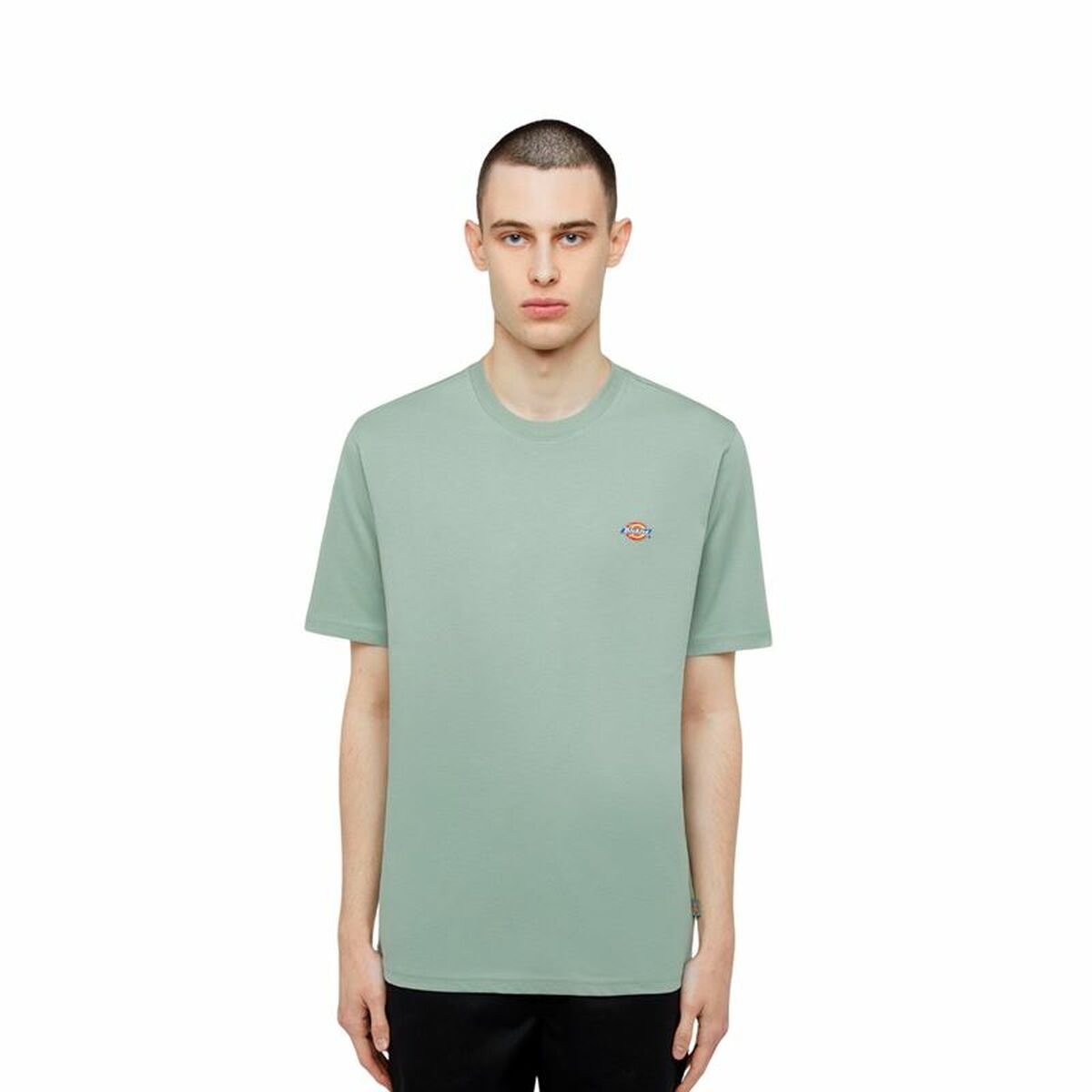 KALINDRA | BB. Men’s Short Sleeve T-Shirt Dickies Ss Mapleton Tee Green