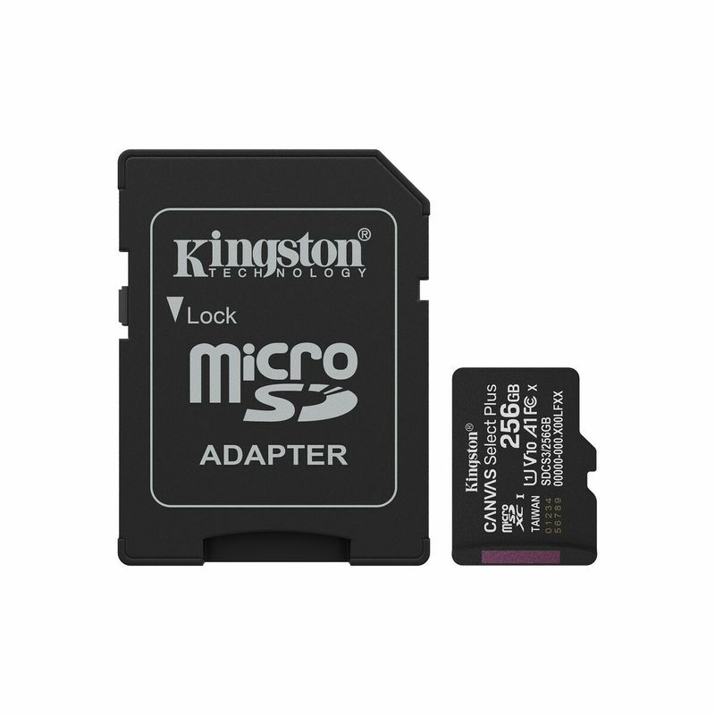 KALINDRA | BB. Carte Mémoire Micro SD avec Adaptateur Kingston SDCS3/256GB