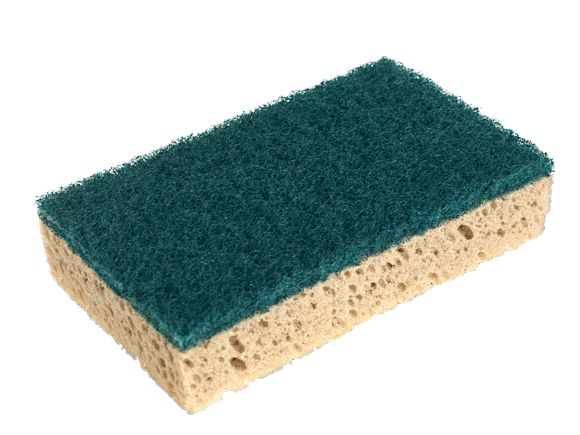 BLUE FARM | Vileda Professional. Schwamm mit grünem Schleifmittel. 10 Stück