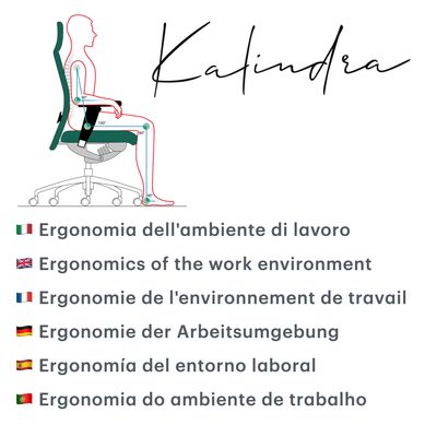 Ergonomics of the work environment