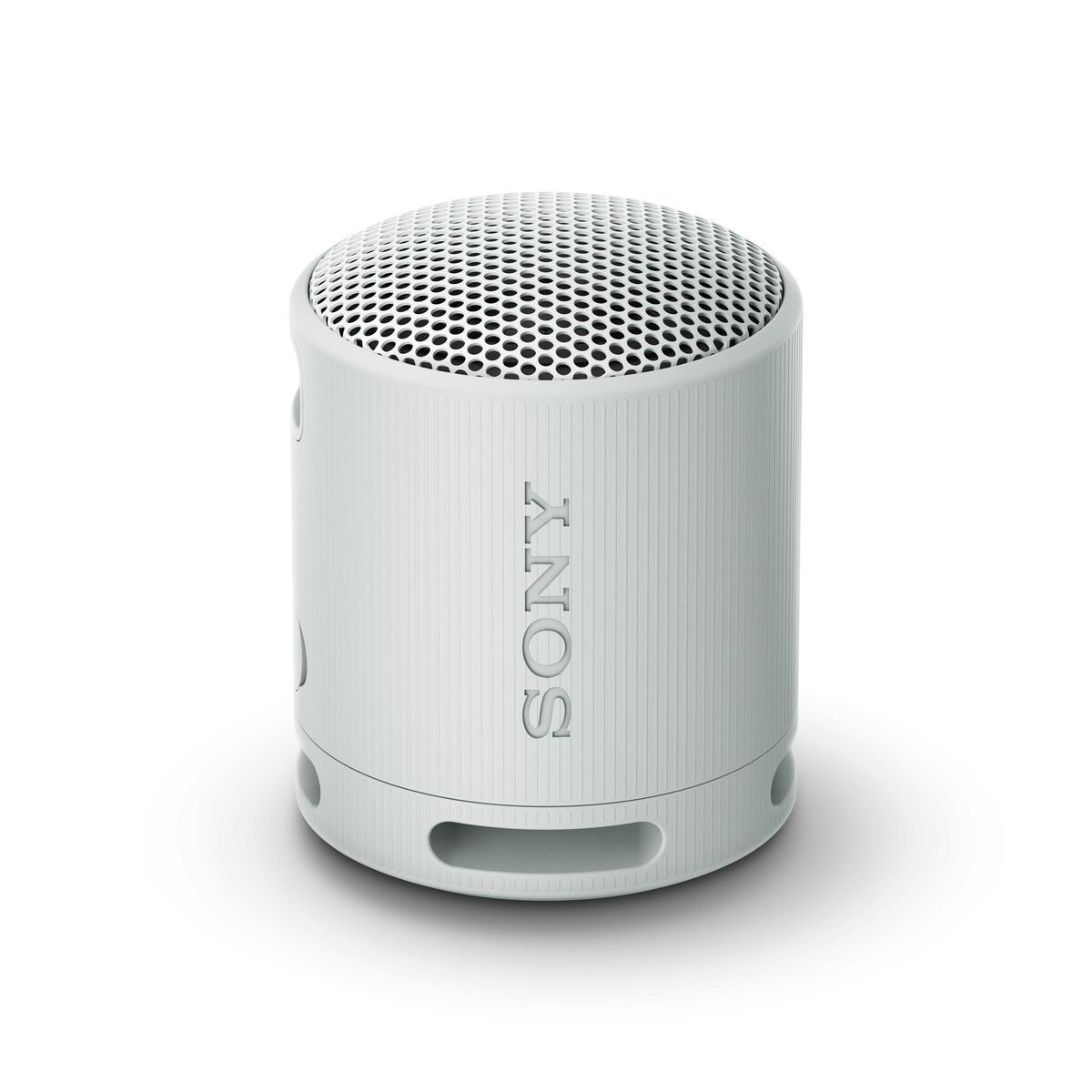 KALINDRA | BB. Portable Bluetooth Speakers Sony SRSXB100H.CE7 Grey