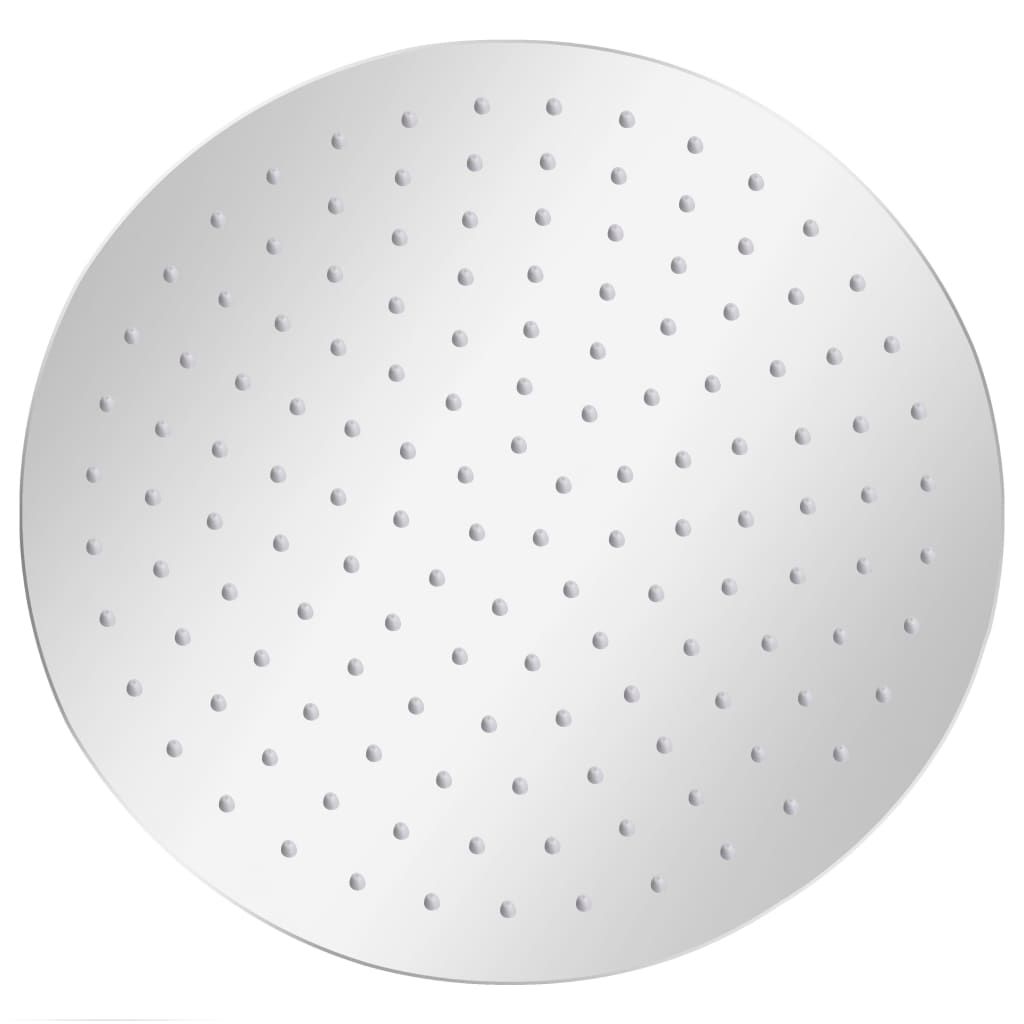 Testa Doccia a Pioggia in Acciaio Inox 304 30 cm Rotonda vidaXL