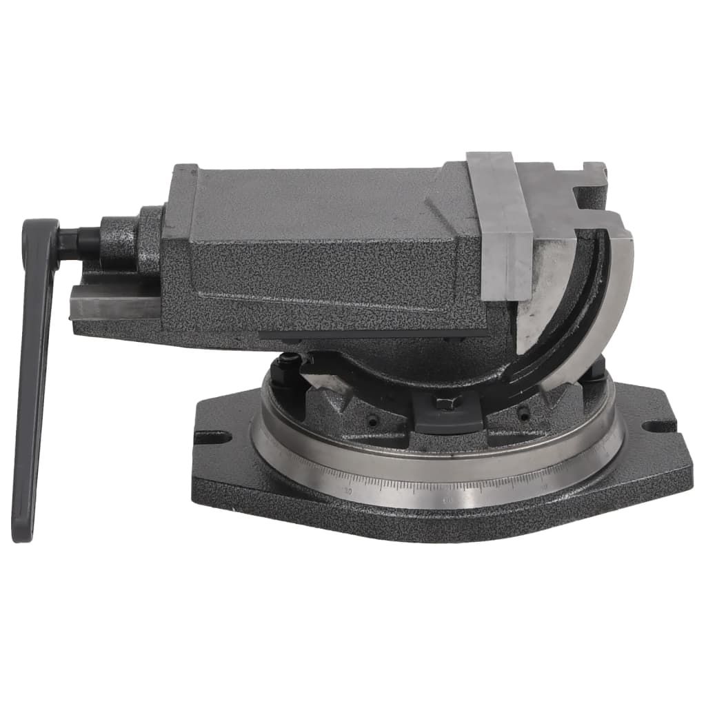 Morsa Inclinabile a 2 Assi 160 mm vidaXL