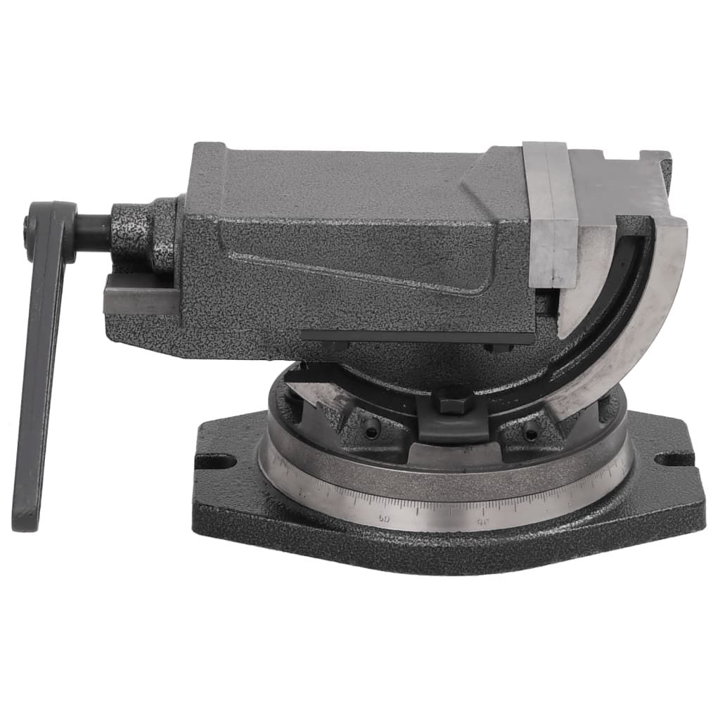 Morsa Inclinabile a 2 Assi 100 mm vidaXL